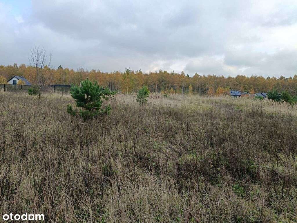 Działka w Wymysłowie na sprzedaż! - Pełny obrazek: 4/4