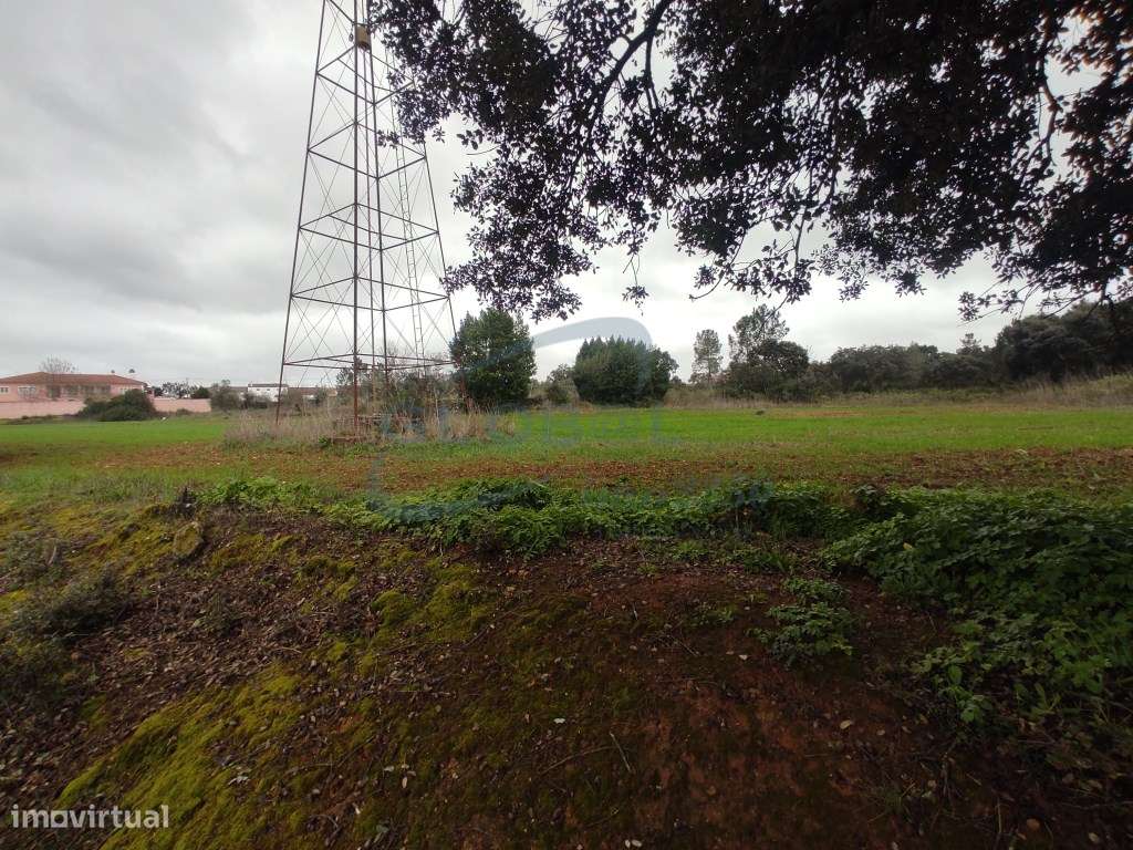 Terreno rústico em Malhou - Alcanena - Grande imagem: 2/11