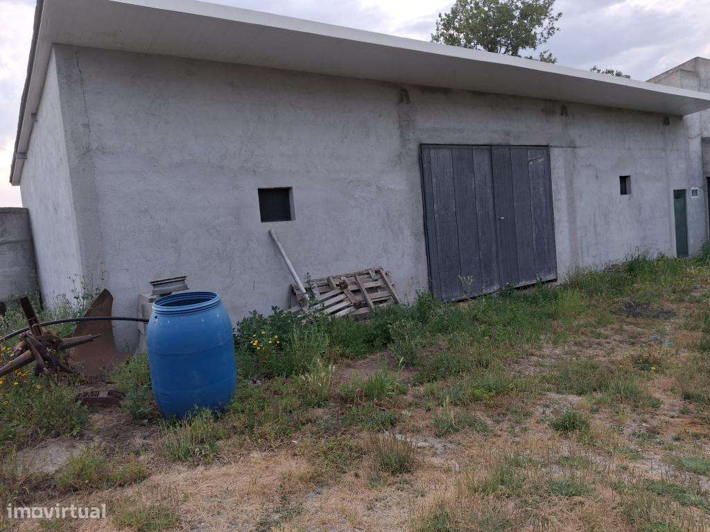 Vende-se Quinta na ratoeira - Grande imagem: 4/20