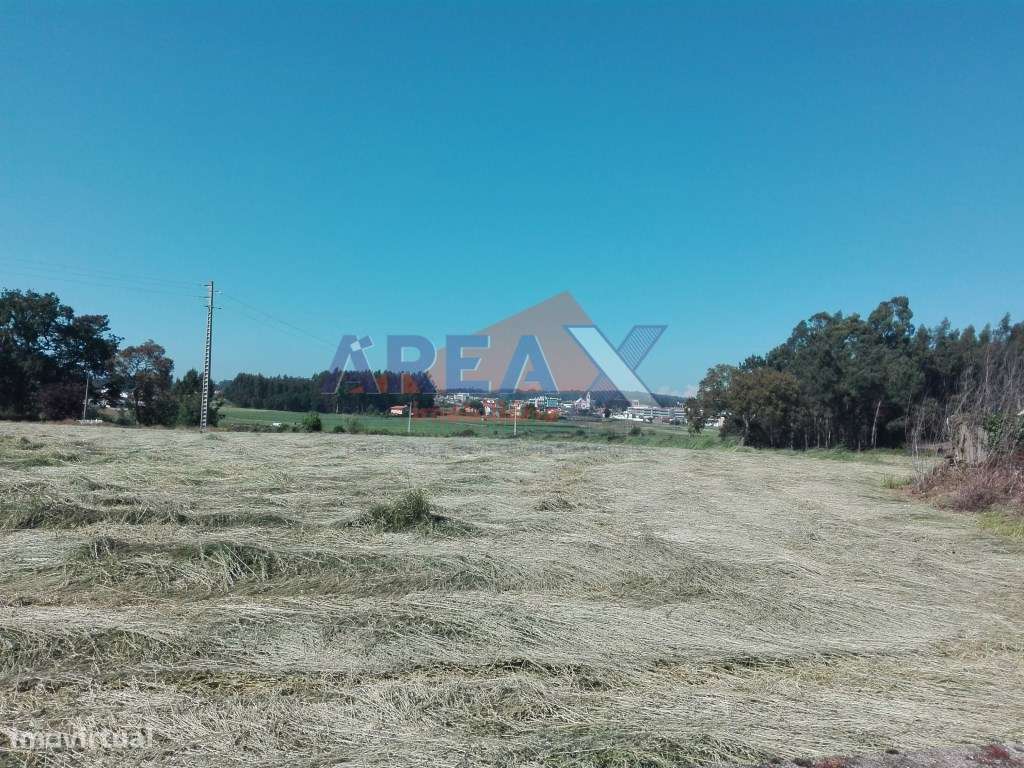 Terreno com 20.050m2. São 2 artigos. Para mais informações consulte... - Grande imagem: 5/6