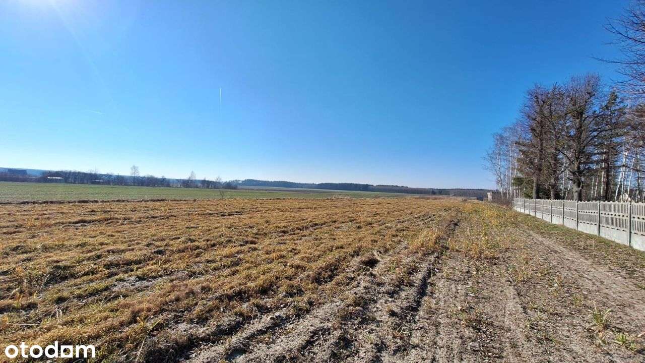 Działki budowlane w Wawelnie 11 km od Opola - Pełny obrazek: 5/15