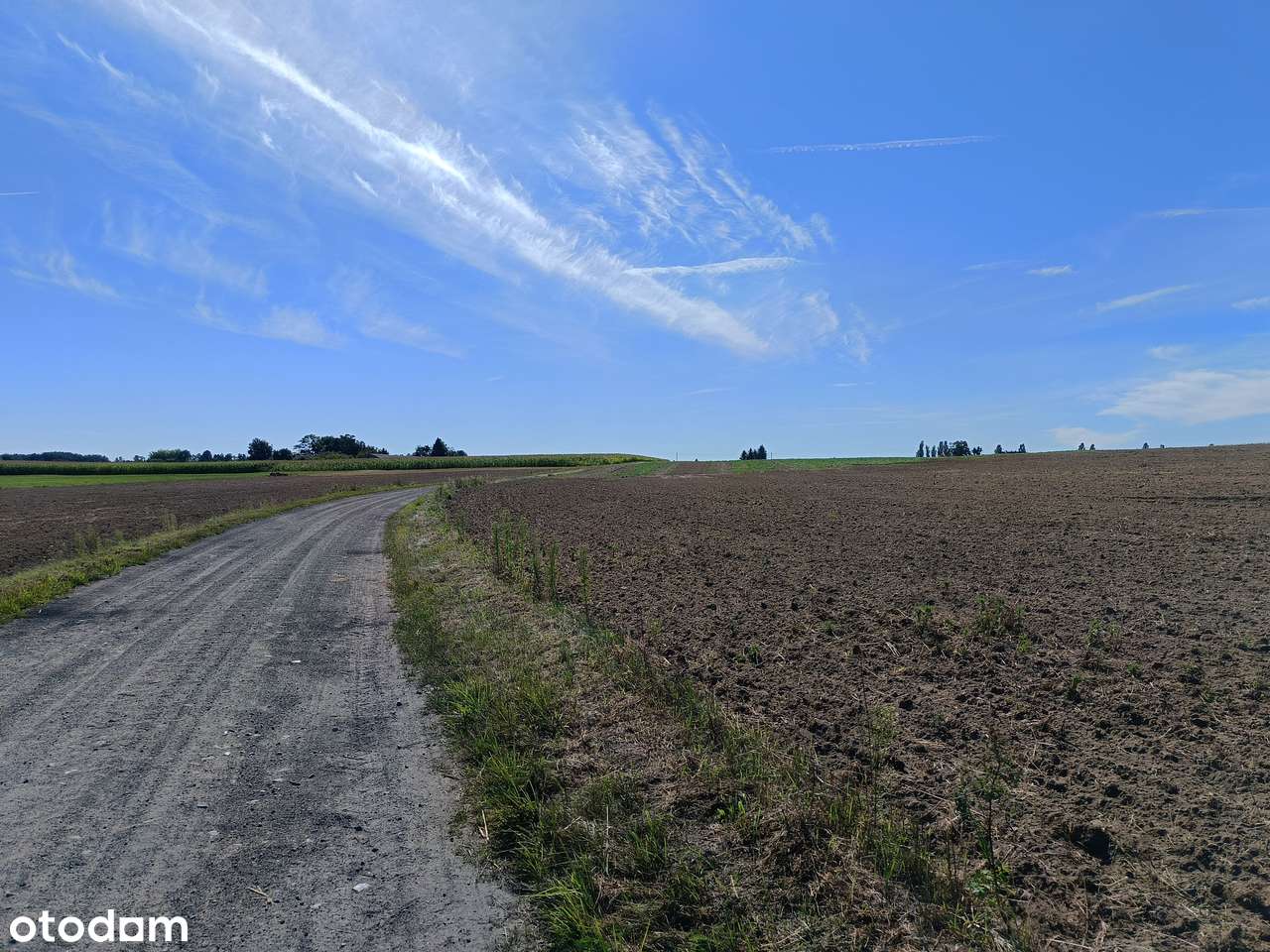 Działki budowlane w spokojnej okolicy – 1000 m², cena 89 tys. zł - Pełny obrazek: 4/14
