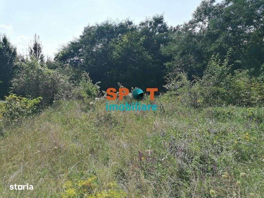 Teren intravilan | 1035 mp | Tureni-4