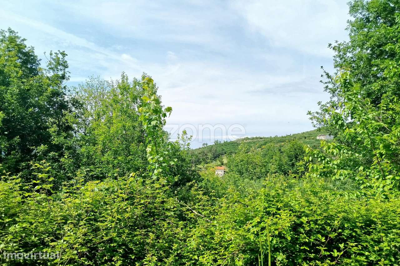 Terreno para venda na Serra da Estrela com ruína para reabilitar - Grande imagem: 4/29