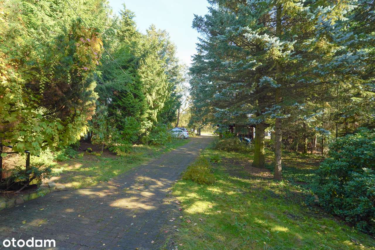 Dom dla dwóch rodzin lub pod siedzibę firmy - Pełny obrazek: 4/20