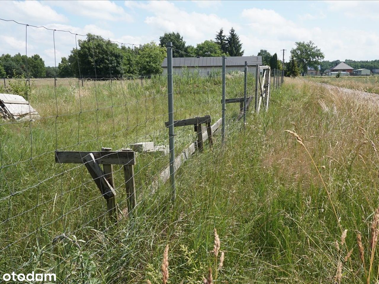 Działka z poziomem zero domu parterowego-Okazja