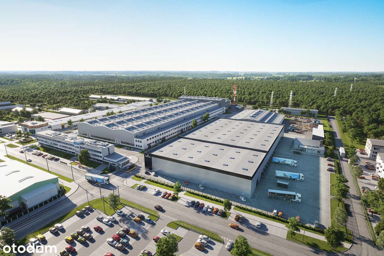 Powierzchnia biurowa 154m², Warszawa Bielany - Pełny obrazek: 3/4