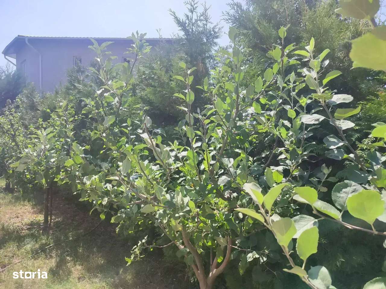 Casă cu 5 Camere Tunari | Bucatarie Mobilata | Ideal Firme | Mansarda - Imagine principală: 4/20