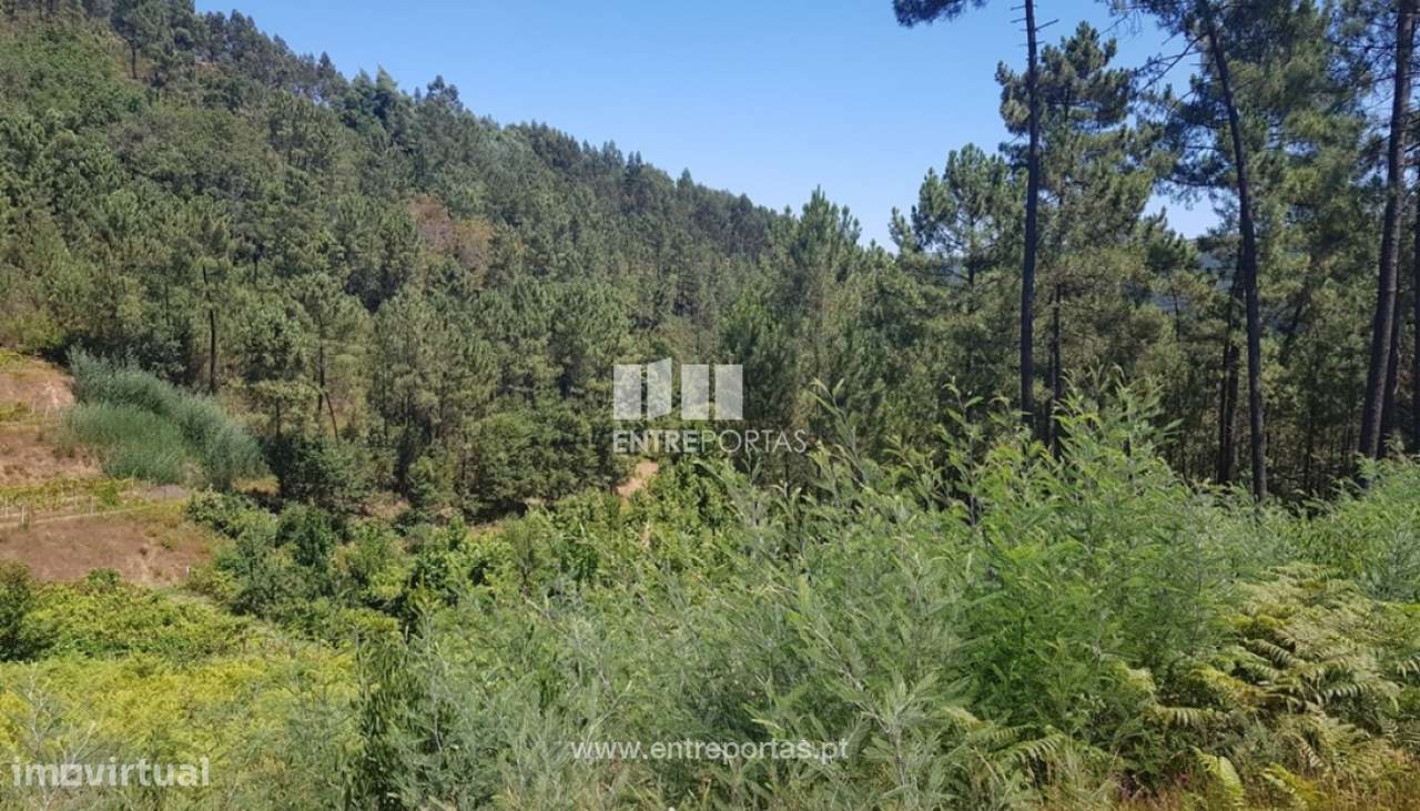 Venda Terreno, Chapa, Amarante - Grande imagem: 2/10