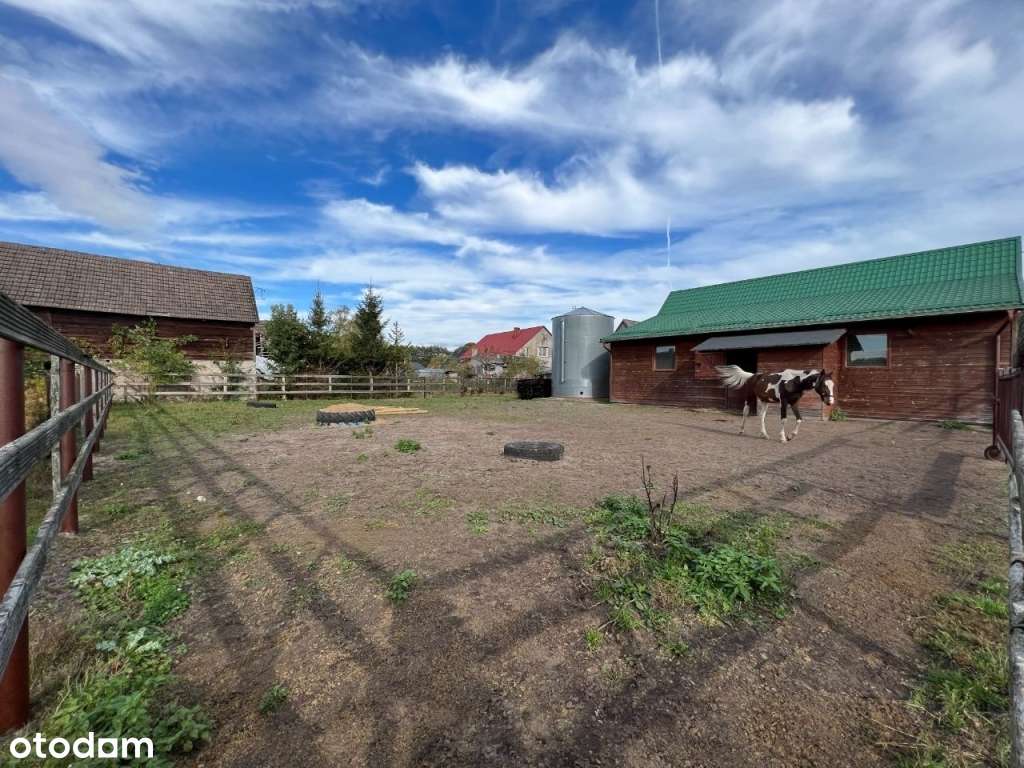 Posiadłość z domem, nową stajnią, wybiegiem-3200m2 - Pełny obrazek: 5/14