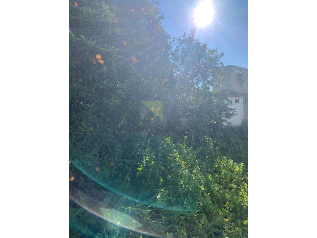 Terreno Urbano no Centro do Montijo para Prédio de 4 Andares-16