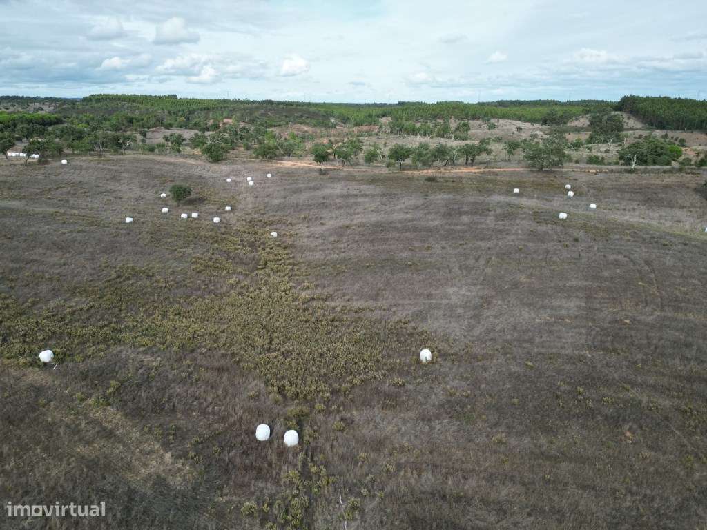 Monte Típico Alentejano para Reabilitar - Santiago do Cacém-20