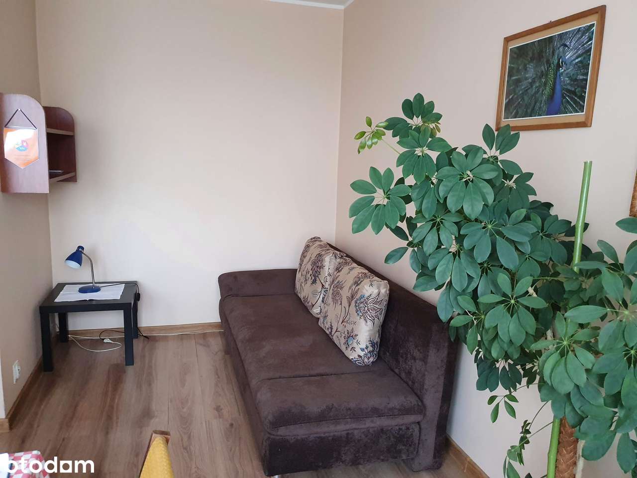 Wynajmę kawalerke 32m ul. Galileusza Poznań - Pełny obrazek: 4/6