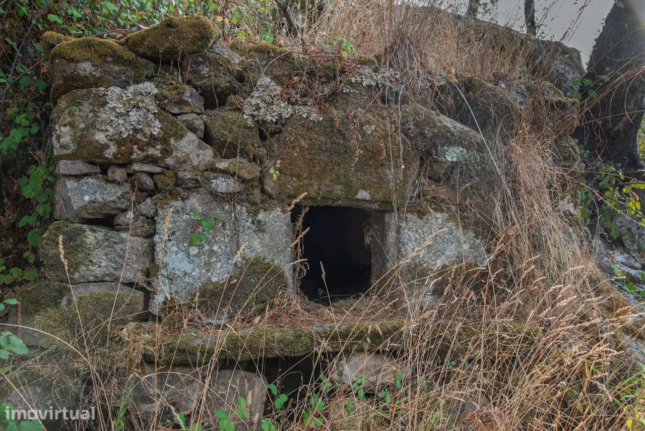 Quinta T2 Venda em Linhares,Celorico da Beira-16