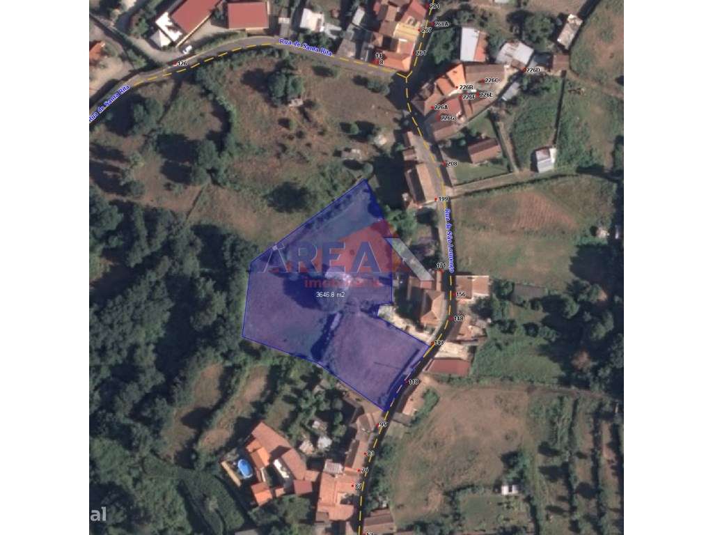 Terreno com 3.900m2, perto de Oliveira de Azeméis-0