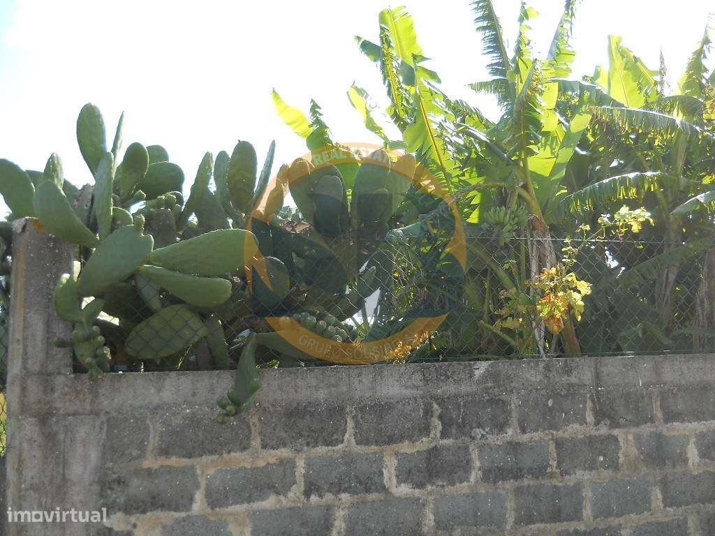 Terreno Ovar - Grande imagem: 5/18