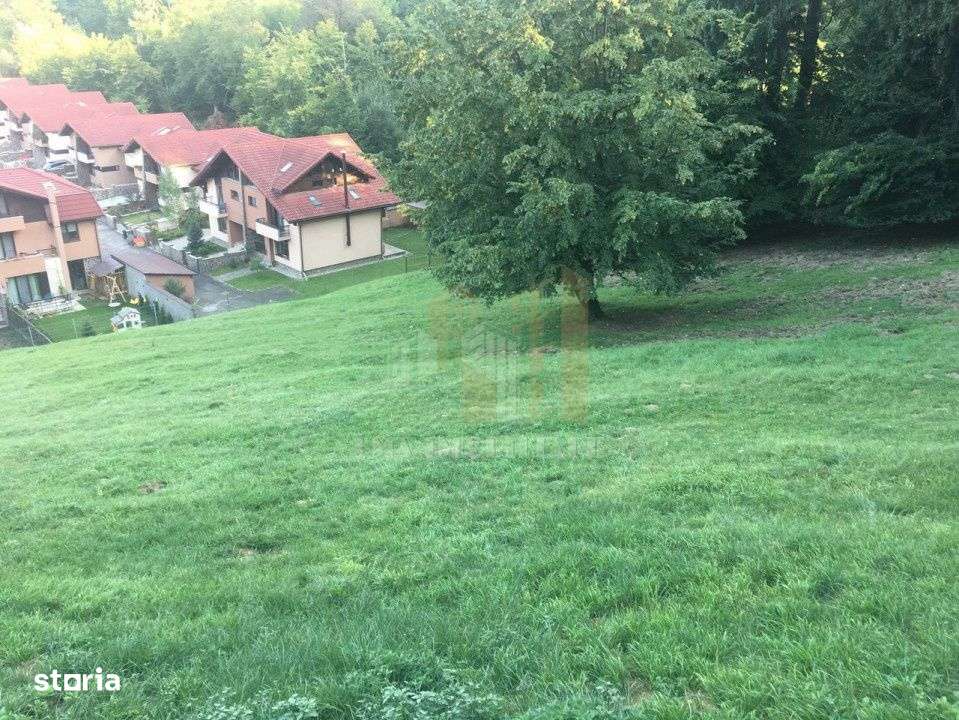 Teren intravilan Brasov Strada Ciresului 2900 mp-0