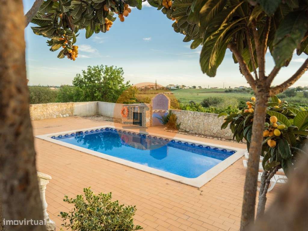 Arrendamento de Inverno - Moradia Privada no Sotavento Algarvio - Grande imagem: 4/60