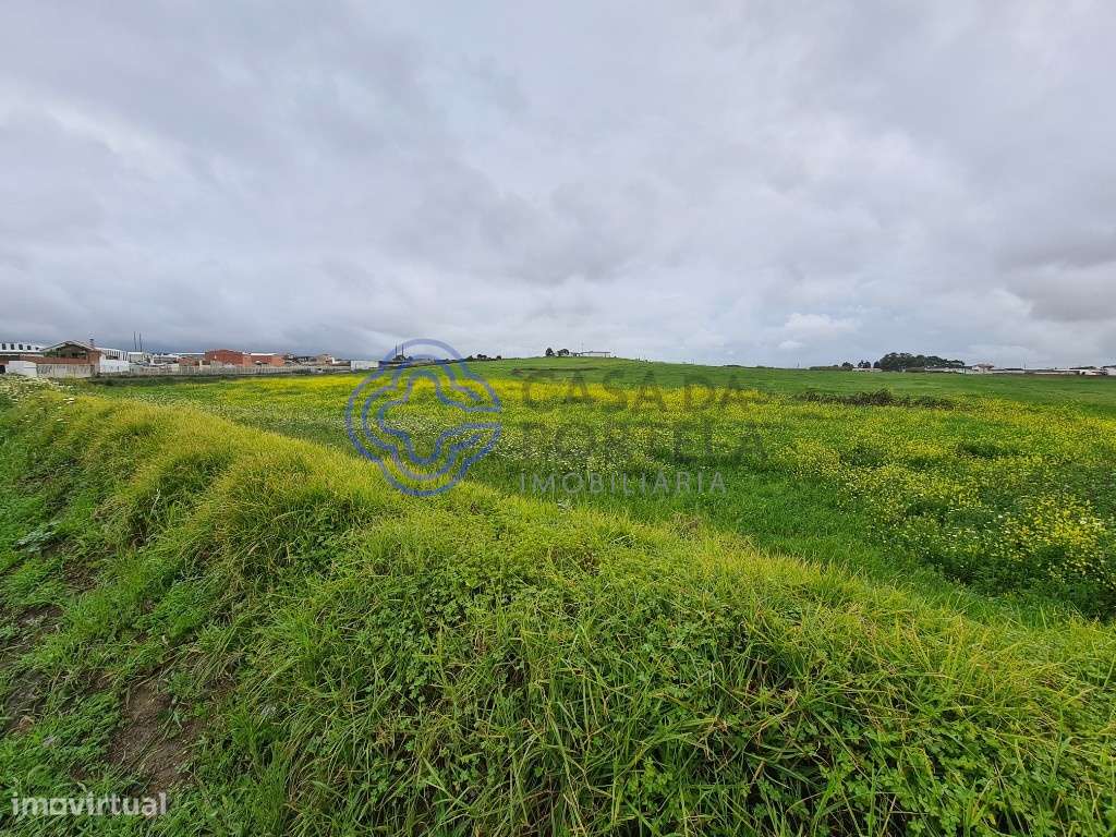 Terreno - 40.560m2 - São Domingos Rana - Cascais-10