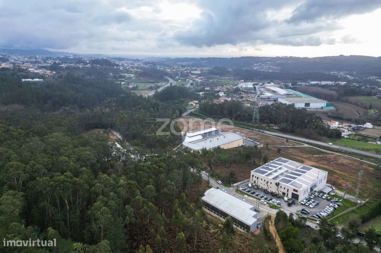 Terreno 3300m2 Vila Chã |São Roque | Oliveira de Azeméis-11