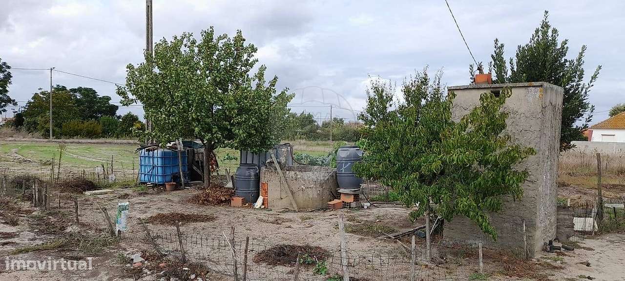 Terreno  para venda - Grande imagem: 5/5