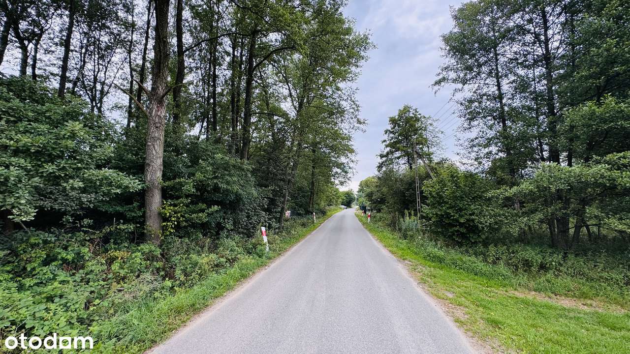 Działka 2.286m2 w bezkonkurencyjnym otoczeniu - Pełny obrazek: 4/6