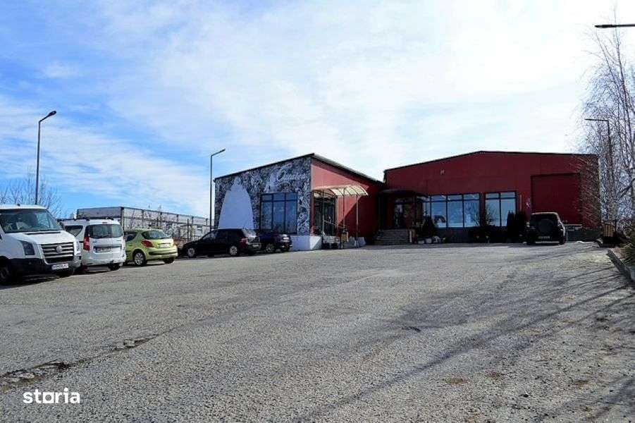 Hala industriala / Spatiu Comercial - Imagine principală: 2/10