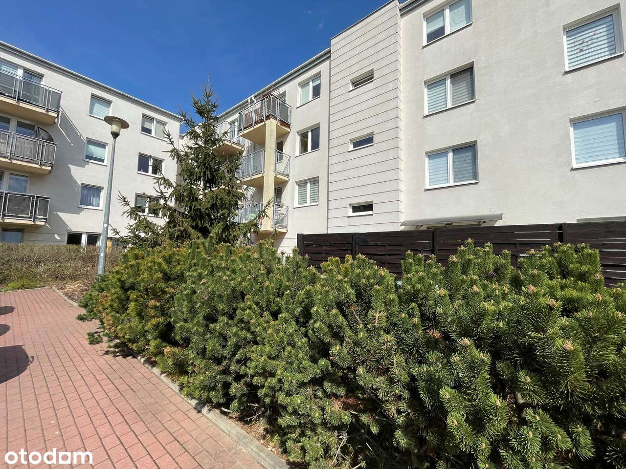 Dostępne od zaraz! Wszystko w cenie! 0% prowizji!-14