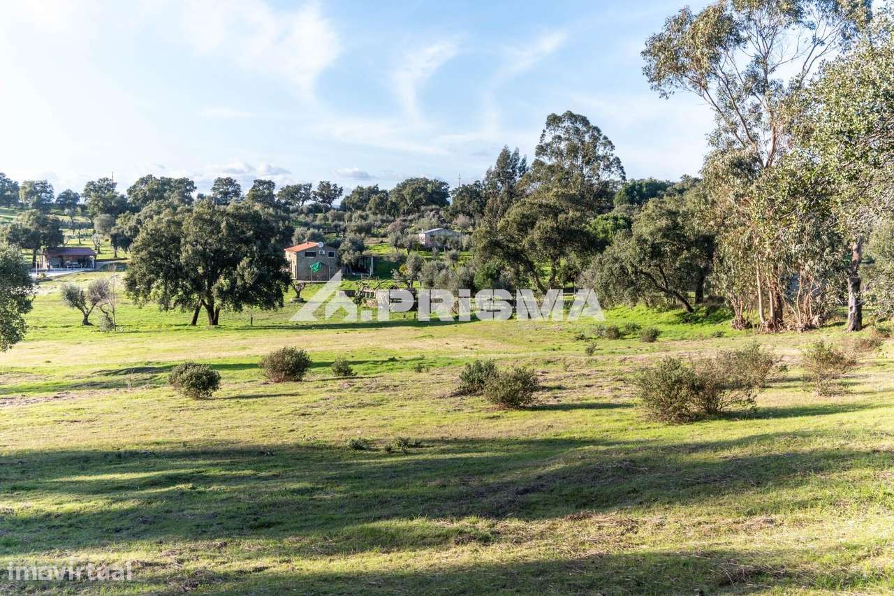 Quinta para venda em Escalos de Cima-38