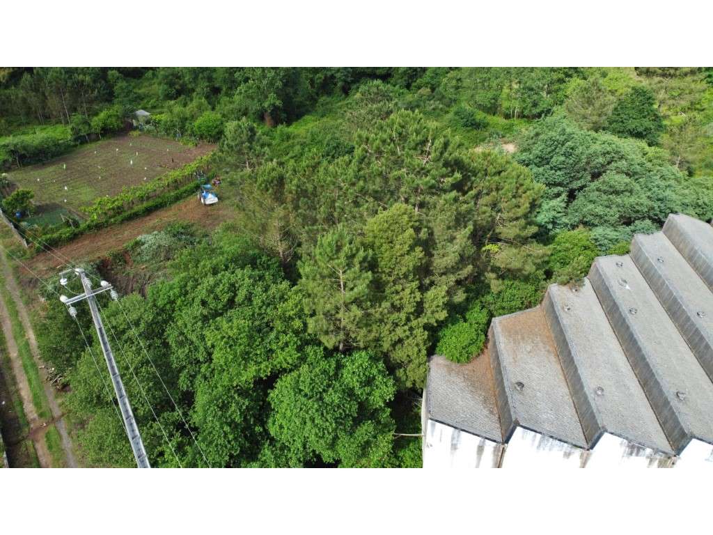 Terreno industrial com PIP aprovado - Grande imagem: 4/7