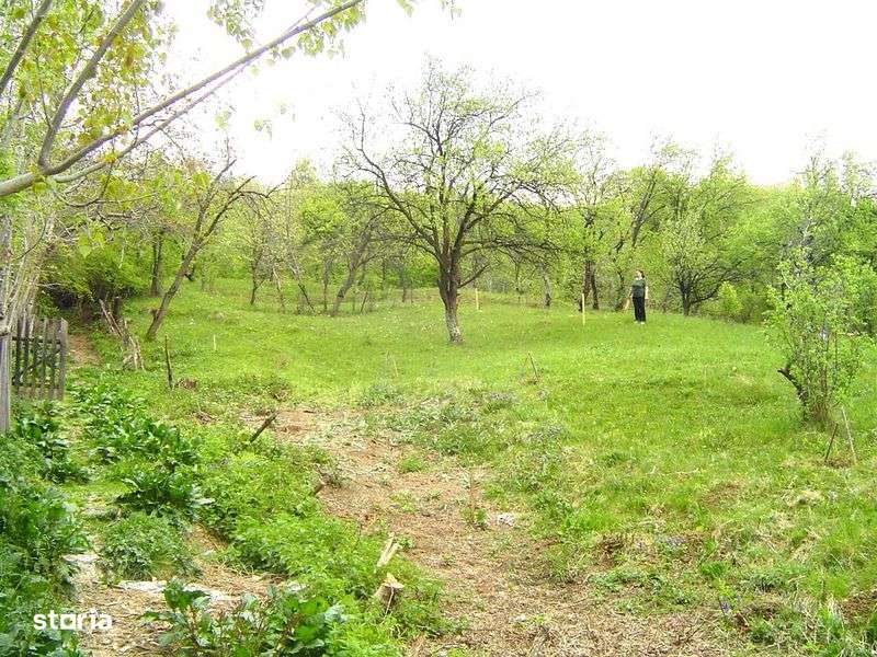 Teren intravilan Cornu, Prahova, la 23 km de Sinaia, 34 Euro mp. - Imagine principală: 5/8