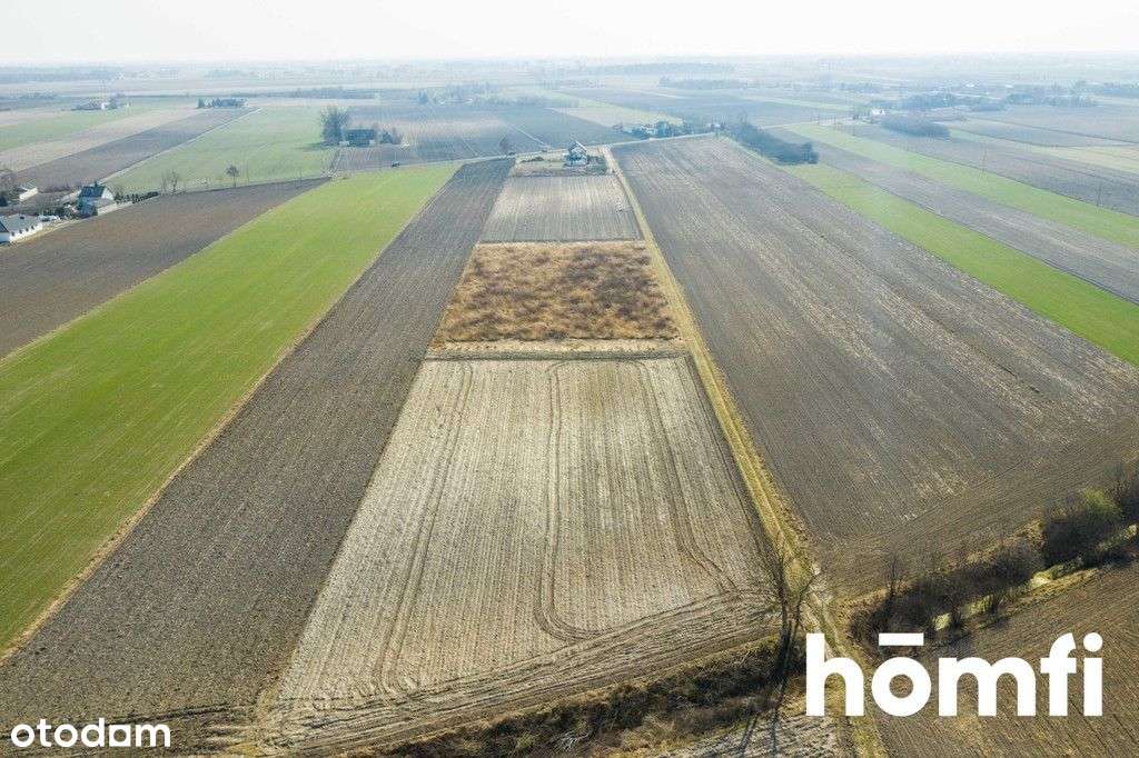 Duża działka w Lesznie z Warunkami Zabudowy - Pełny obrazek: 4/12