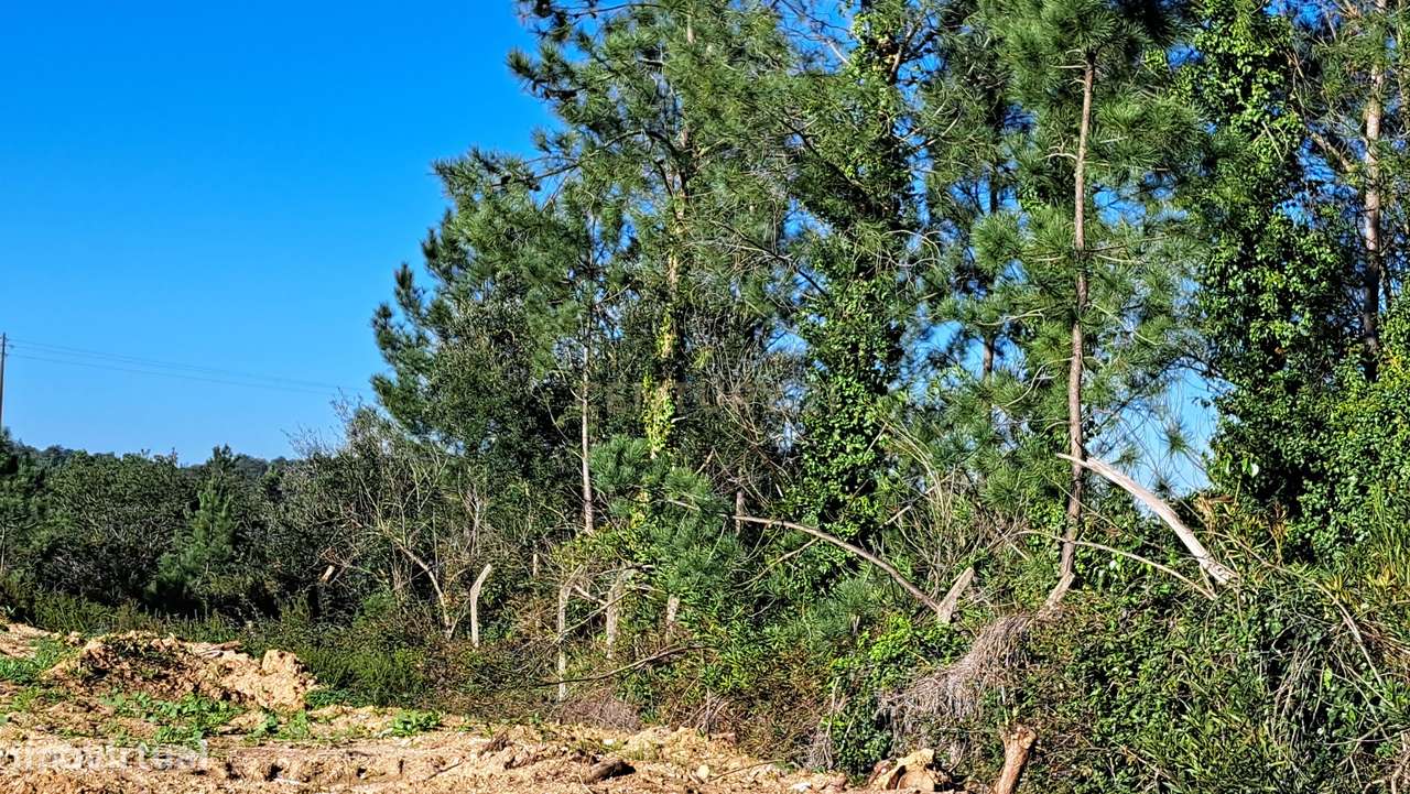 Terreno rústico em fase de legalização - Grande imagem: 3/4