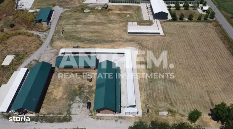 Ferma + Abator - Imagine principală: 2/19