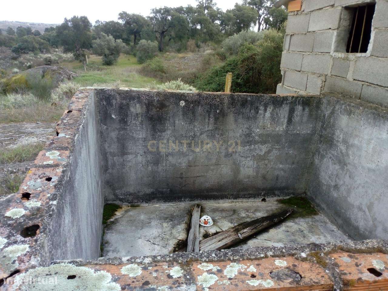 Terreno Rústico, Salgueiro do Campo - Grande imagem: 4/15