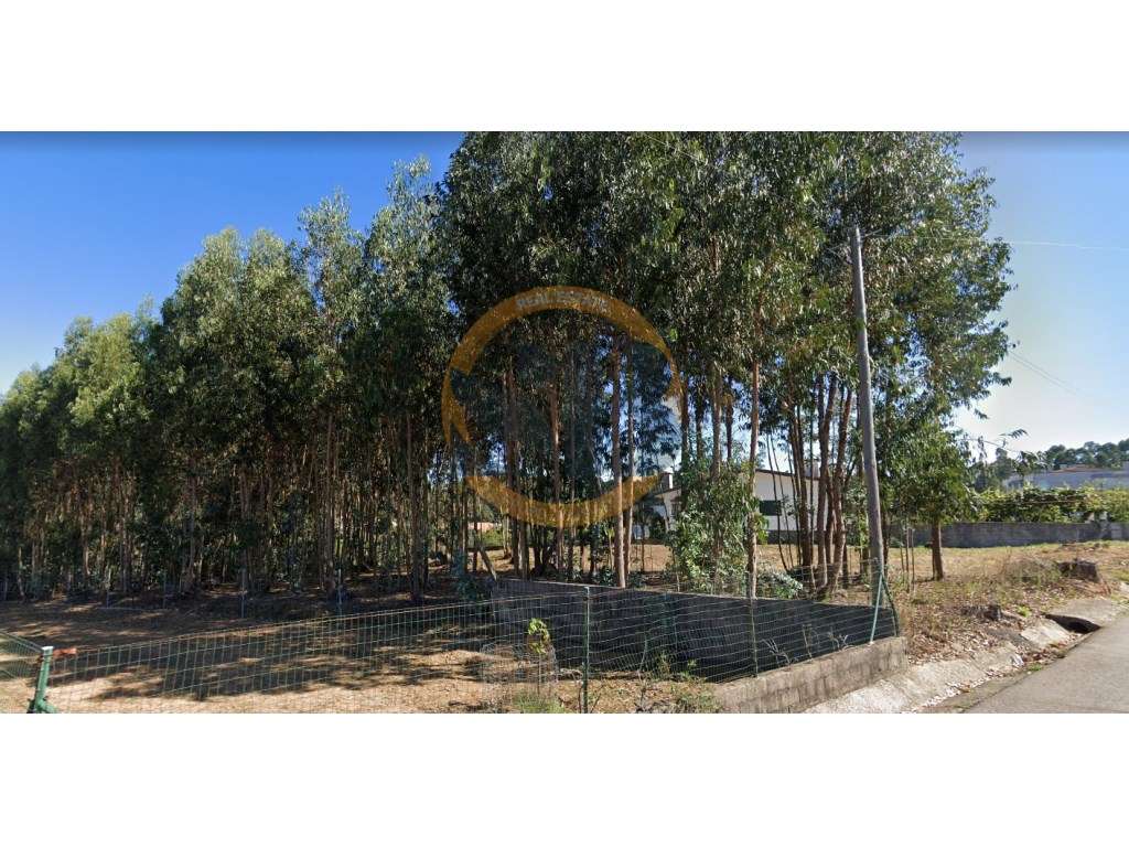 Terreno São João de Ovar - Grande imagem: 2/2