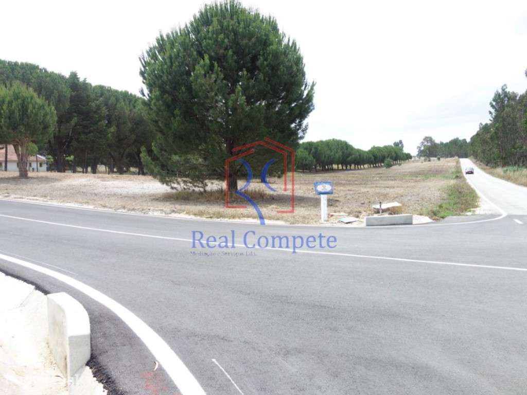 Terreno Urbanizável na Branca, Coruche - Grande imagem: 4/6