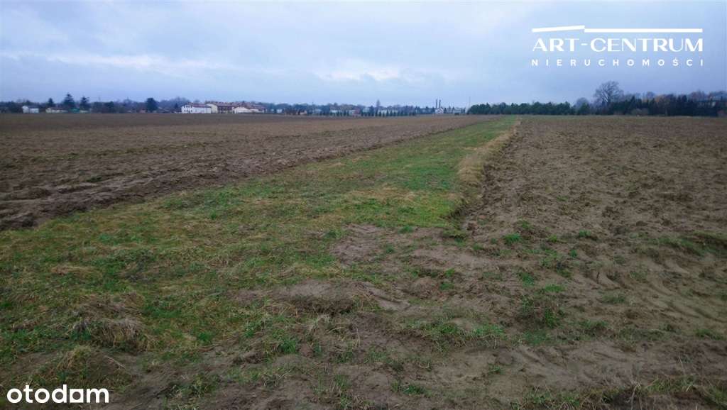 Działka Ciechocinek-6