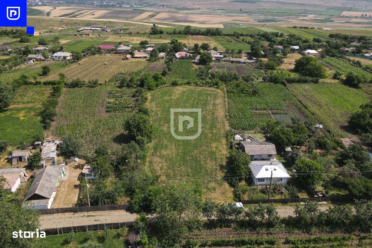 Teren - Ionășeni | BOTOȘANI | 3.285mp - Imagine principală: 2/8