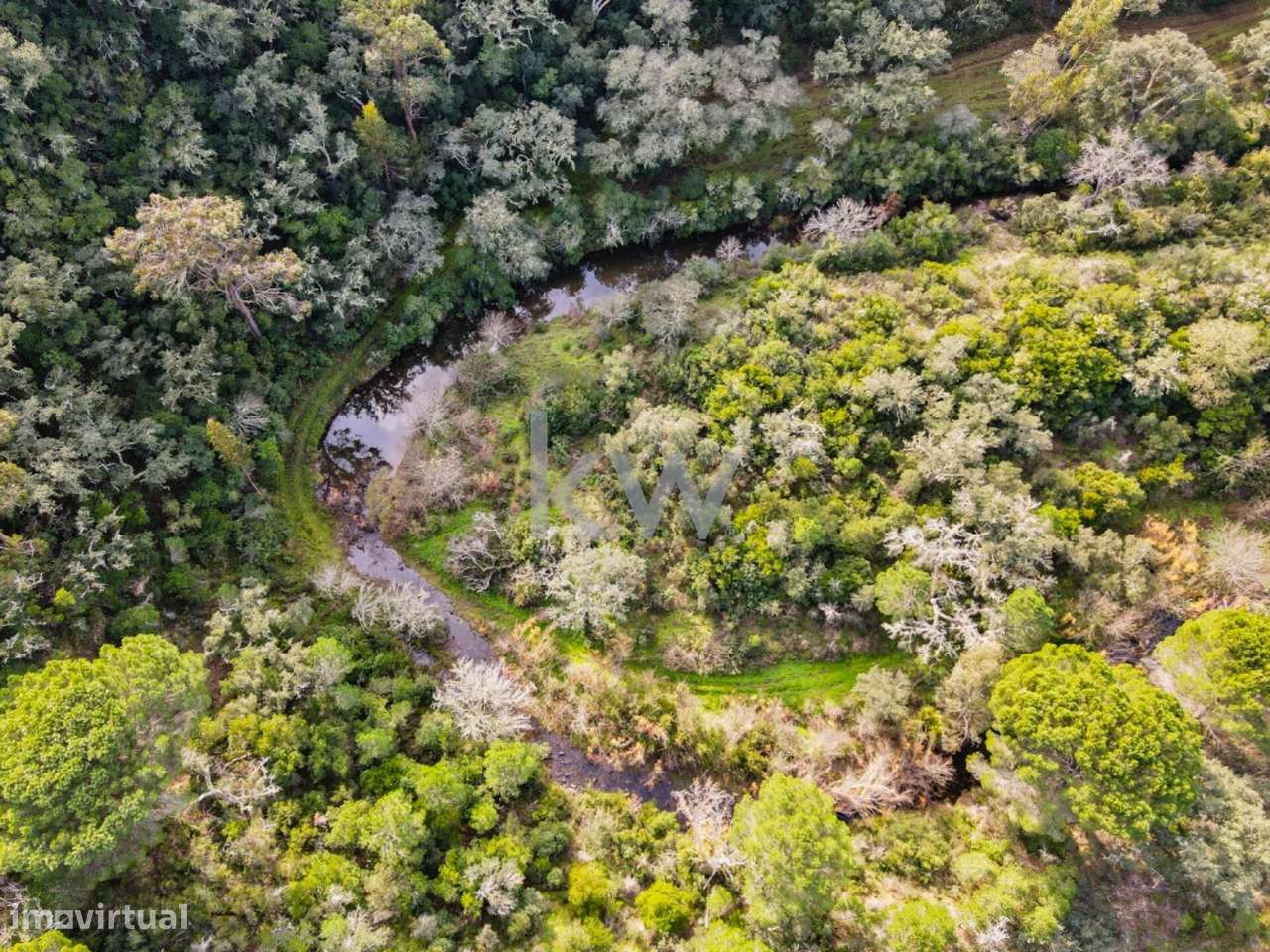 Herdade Única no Alentejo Litoral – Santa Margarida da Serra | Grândol - Grande imagem: 4/55