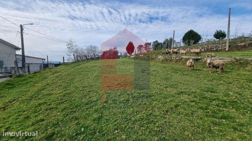 Terreno com projeto aprovado, Godinhaços - Grande imagem: 5/30