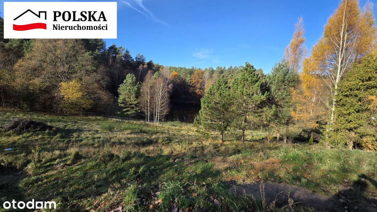 Dom całoroczny z wielką działką i stawem - Pełny obrazek: 4/20