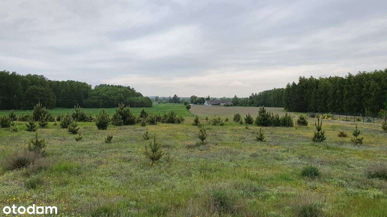 Bezpośrednio ładna działka budowlana 1041 m2-6