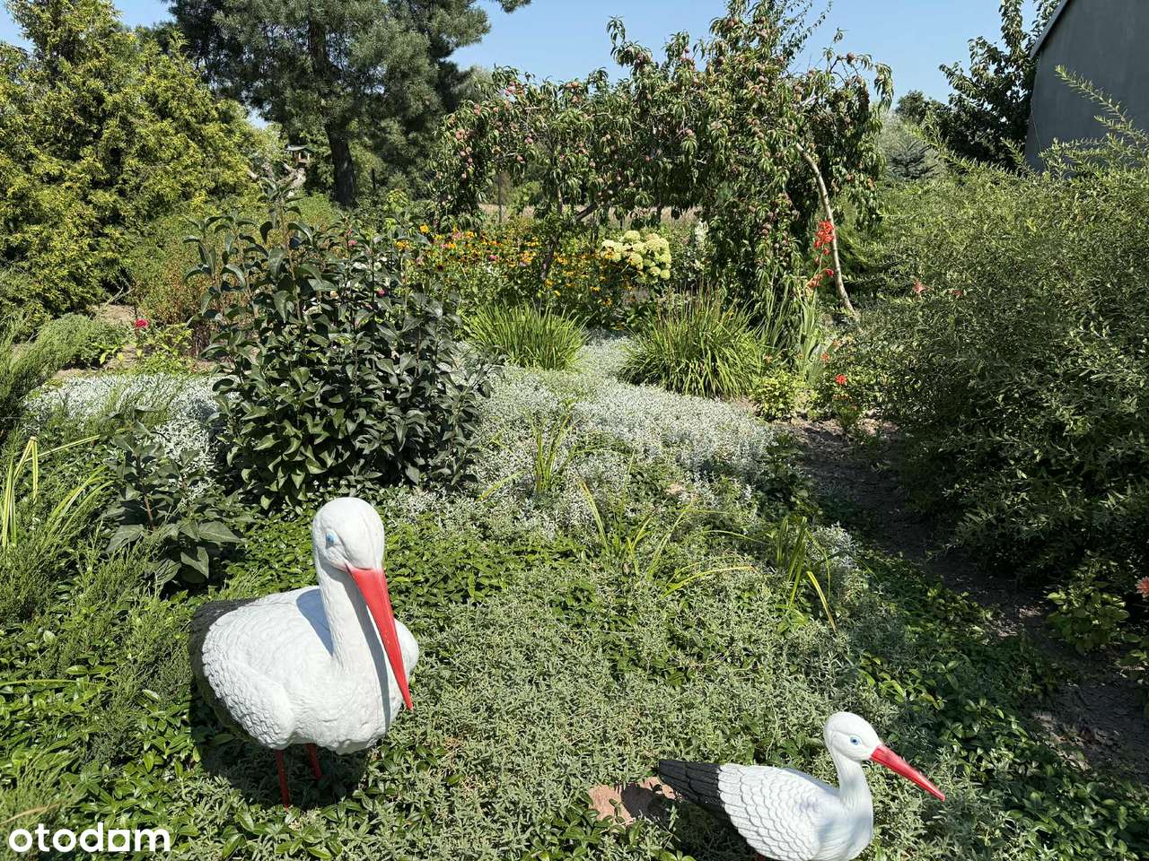 Siedlisko w mazowieckiej wsi-16