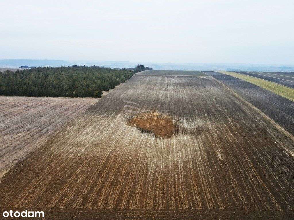 Działka z projektem i decyzją na zabudowę - Pełny obrazek: 2/2