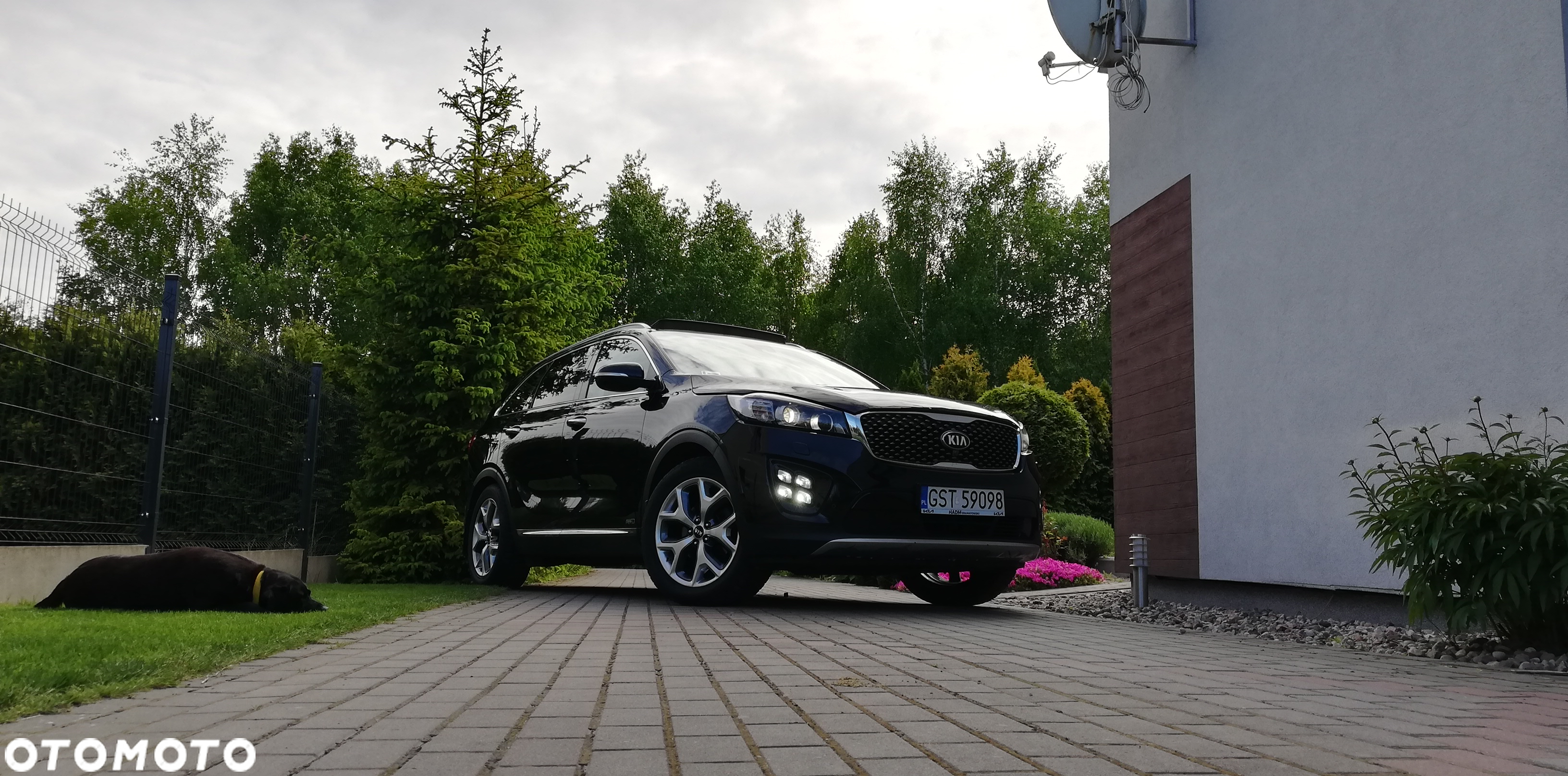 Kia Sorento 2.0 CRDI Business Line Plus - 26