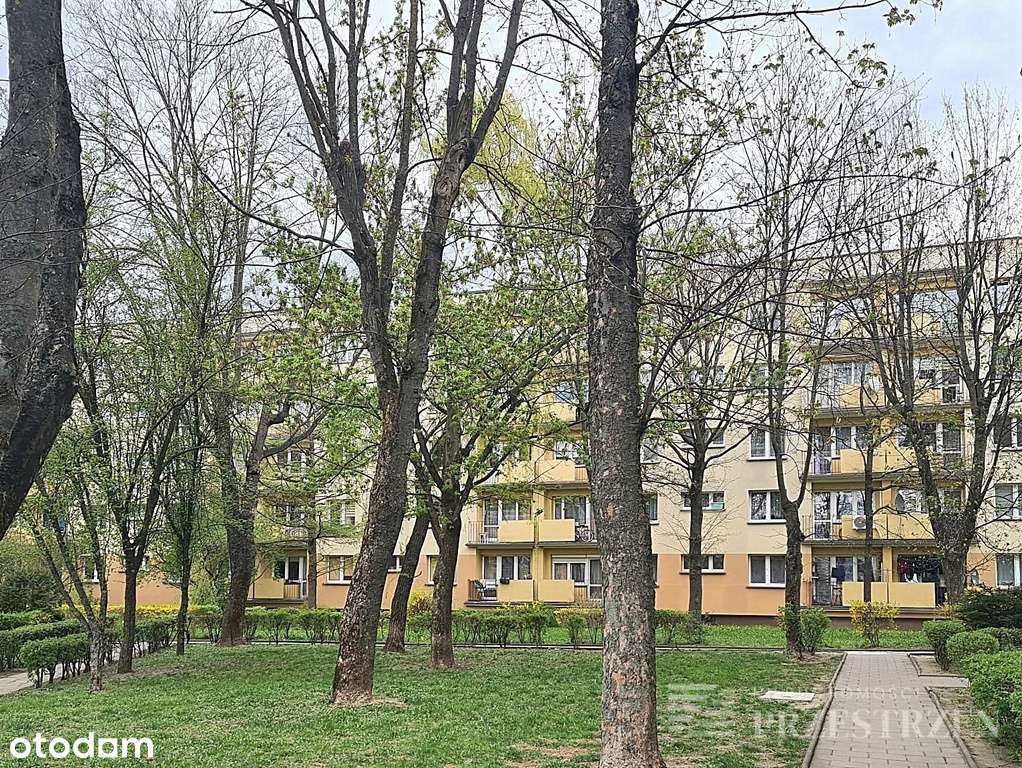 42m2, 2 pokoje, nowe instalacje, klima-8