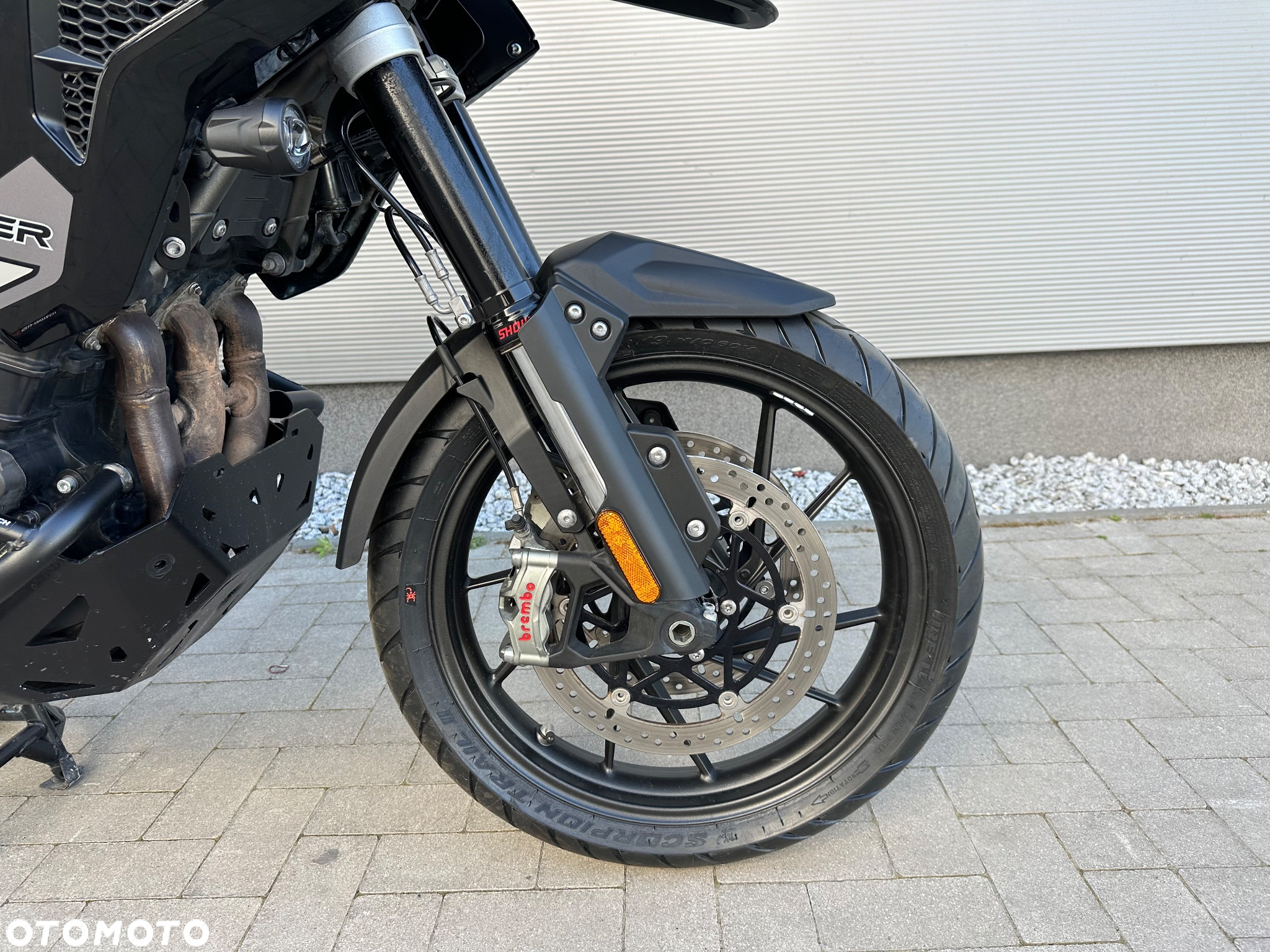 Triumph Tiger - 30