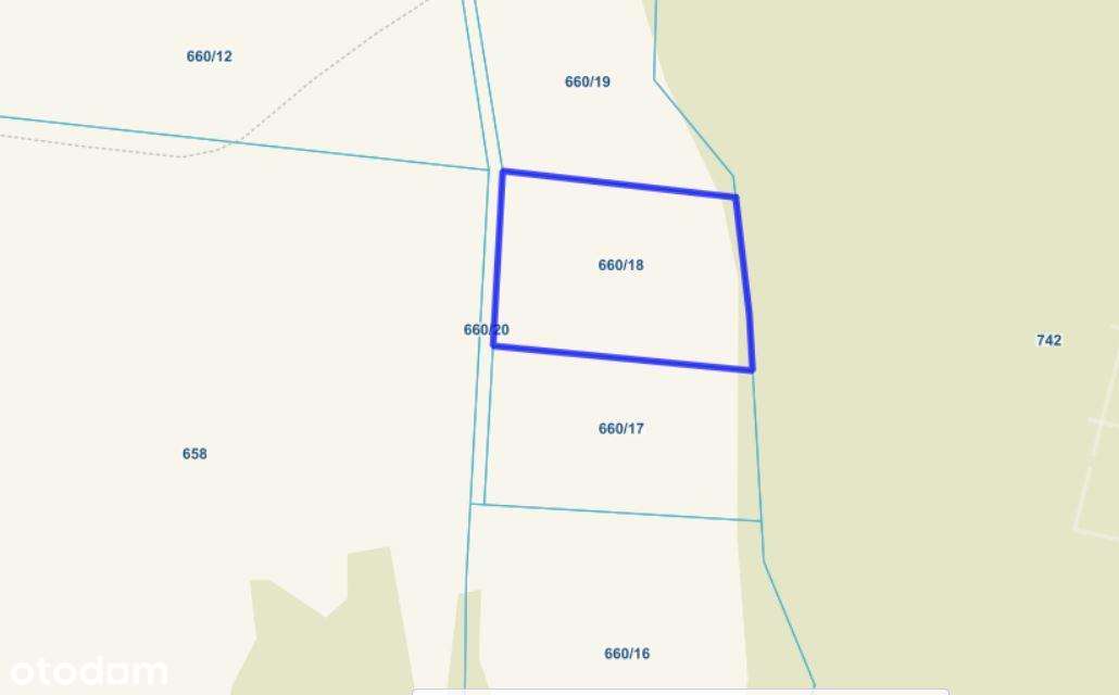 Urokliwa działka w Górach Sowich-1