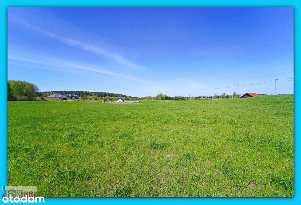 Różnowo* 3004 m2* możliwość podziału na 2 działki - Pełny obrazek: 4/15